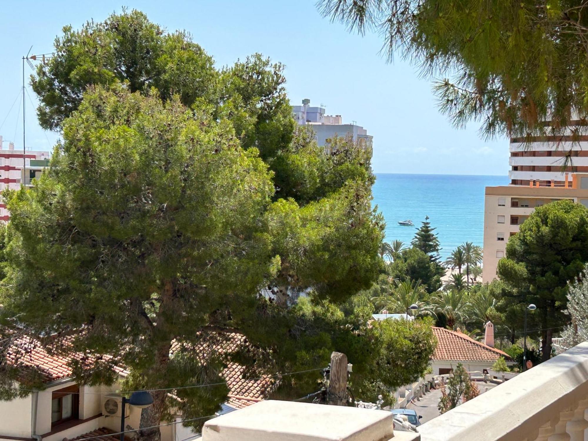 Beauty Garden Cullera